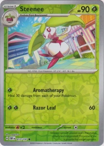 OBF 017 Steenee (REVERSE)
