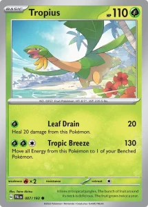 PAL 007 Tropius