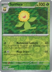 TWM 007 Sunflora (REVERSE)