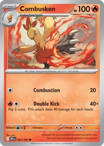 DRI 041 Combusken
