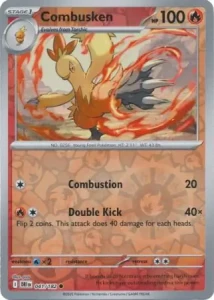 DRI 041 Combusken (REVERSE)