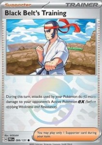 PRE 099 Black Belt's Training (POKEBALL)