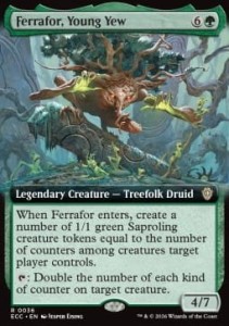 036 Ferrafor, Young Yew