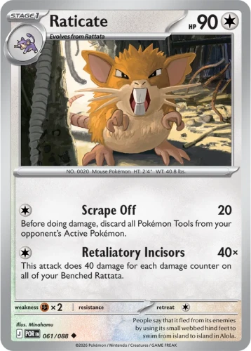 061-Raticate-Perfect-Order.webp