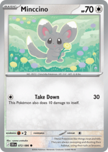 CRI 072 Minccino